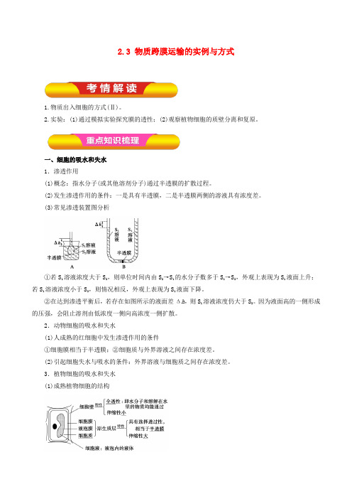 高考生物一轮复习 专题2_3 物质跨膜运输的实例与方式教学案(含解析)