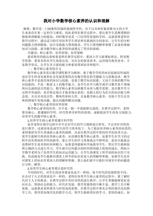 我对小学数学核心素养的认识和理解