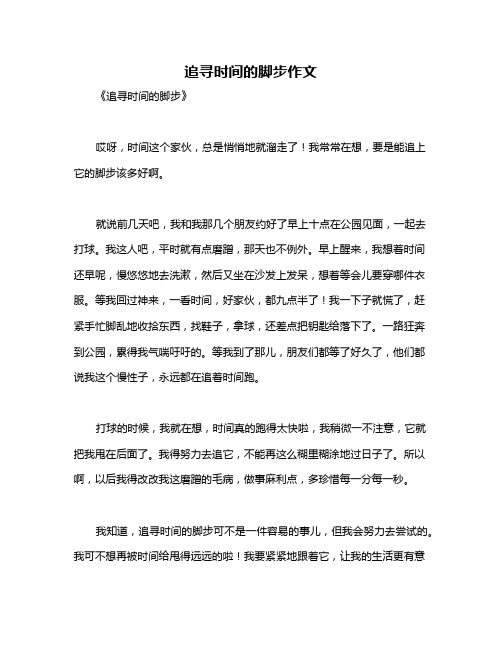 追寻时间的脚步作文