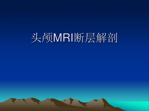 头颅MRI断层解剖PPT课件