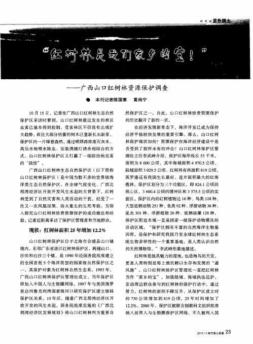 “红树林是我们家乡的宝!”——广西山口红树林资源保护调查