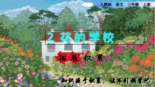 (部编教材)  花的学校完美版PPT1