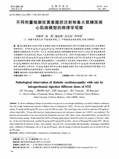 不同剂量链脲佐菌素腹腔注射制备大鼠糖尿病心肌病模型的病理学观察