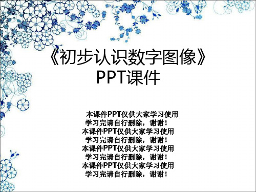 《初步认识数字图像》PPT课件