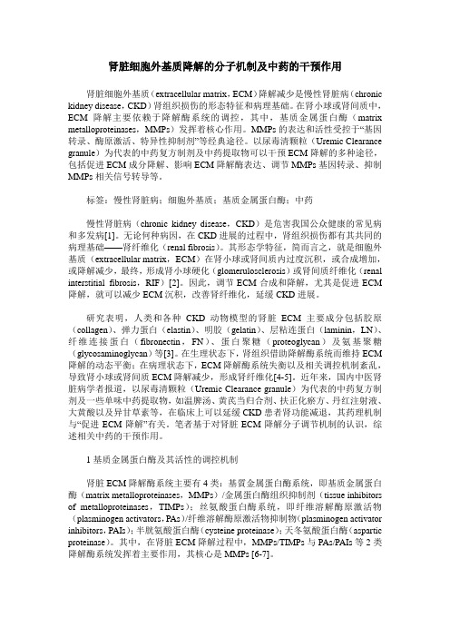 肾脏细胞外基质降解的分子机制及中药的干预作用