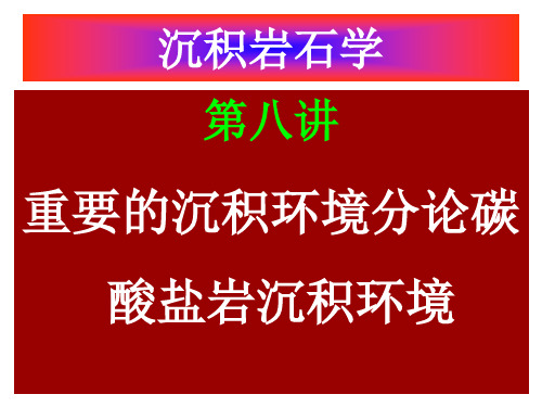 第九讲碳酸盐岩沉积环境