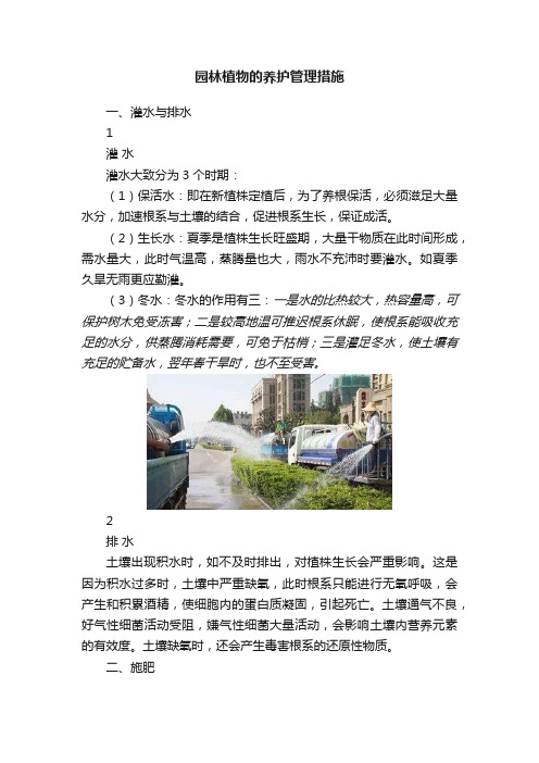 园林植物的养护管理措施