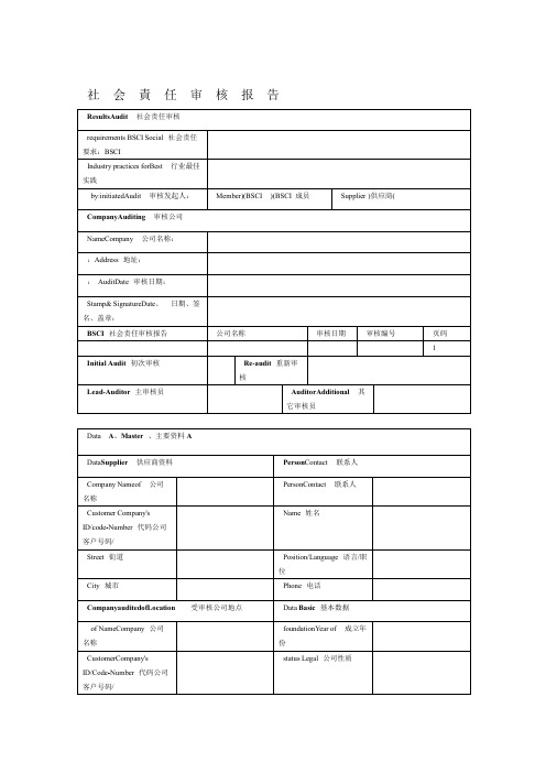 BSCI审核报告样板