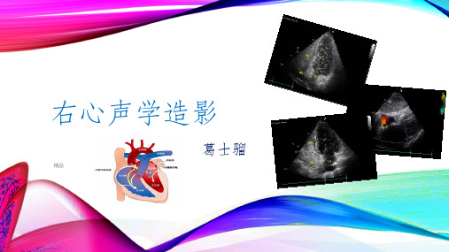 右心声学造影