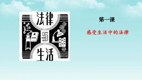 部编新教材道德与法治六年级上册第一课感受生活中的法律课件3