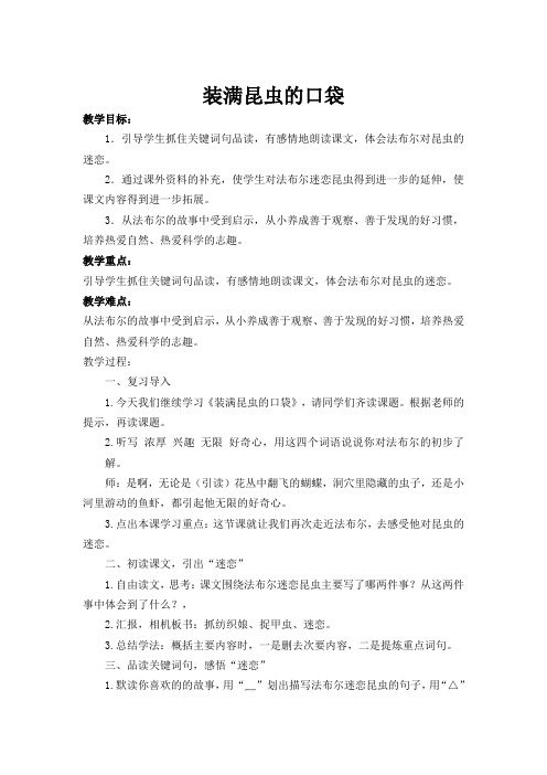 北师大版小学三年级语文下《九 观察与发现 语文天地》公开课教学设计