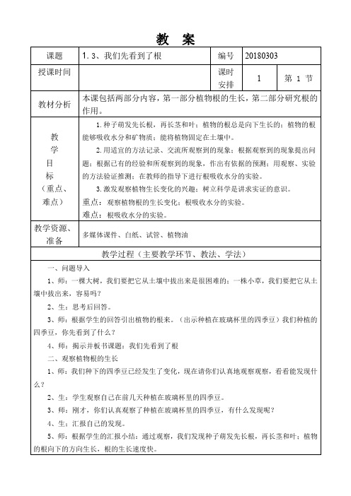 三年级科学下册教案1.3我们先看到了根