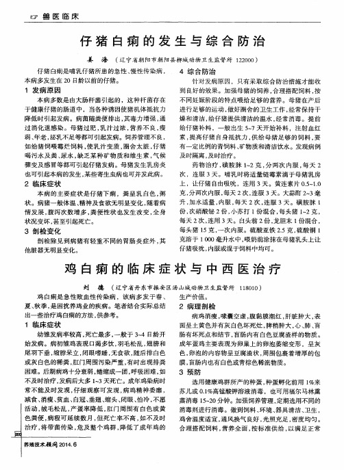 鸡白痢的临床症状与中西医治疗