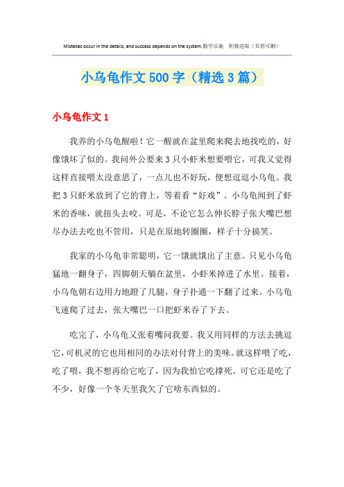 小乌龟作文500字(精选3篇)