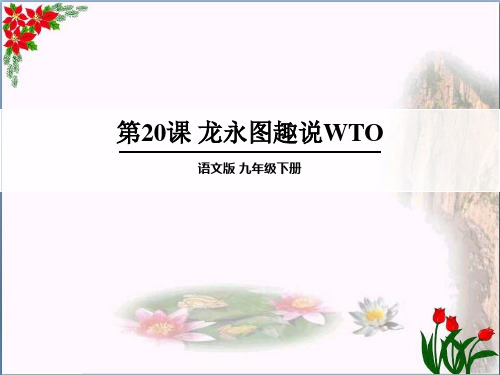 《龙永图趣说WTO》精品 课件
