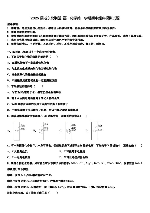 2025届浙东北联盟高一化学第一学期期中经典模拟试题含解析