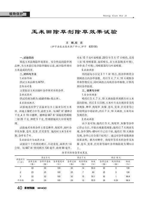 玉米田除草剂除草效果试验