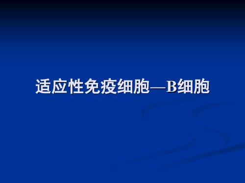 免疫学6-B淋巴细胞-PPT文档资料