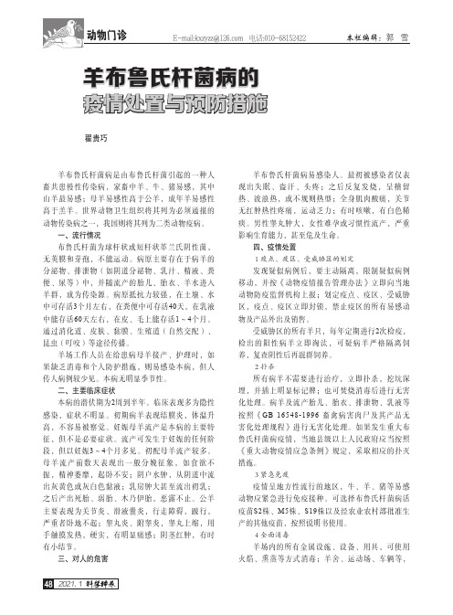 羊布鲁氏杆菌病的疫情处置与预防措施