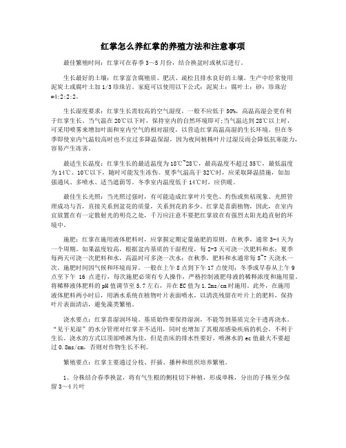 红掌怎么养红掌的养殖方法和注意事项