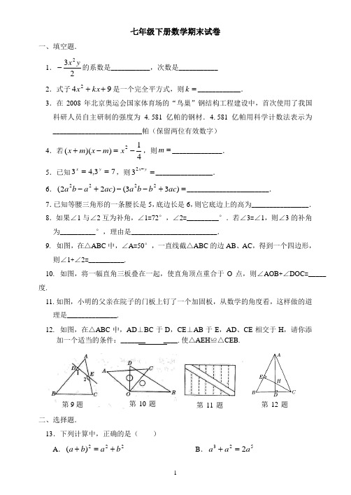 北师大版本 七年级下册数学期末试题