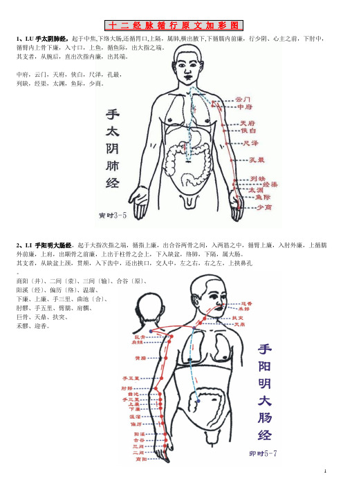 针灸学-十二经脉-循行-灵枢-原文-加-彩图-(经典图文并茂)