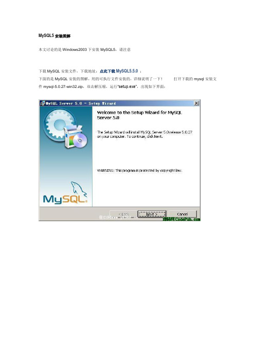 Windows2003服务器MySQL5安装图解