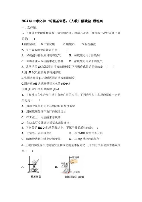 2024年中考化学一轮强基训练人教版酸碱盐