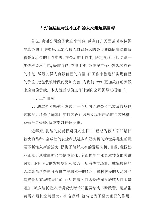 车灯包装包材这个工作的未来规划跟目标