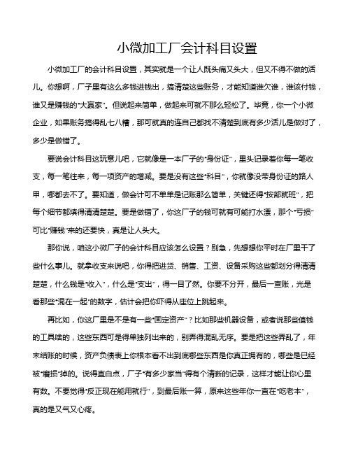 小微加工厂会计科目设置