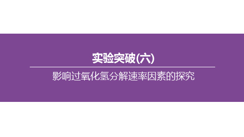 化学中考专题复习实验突破(06) 影响过氧化氢分解速率因素的探究