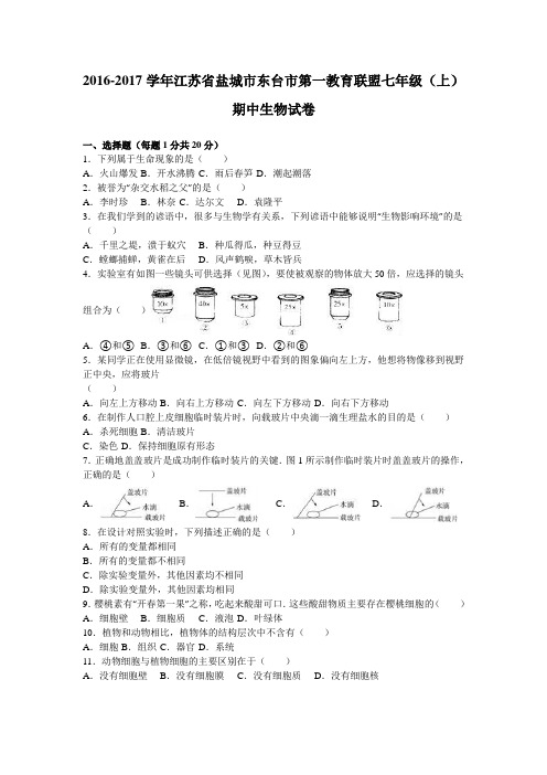 江苏省盐城市东台市第一教育联盟2016-2017学年七年级(上)期中生物试卷(解析版)