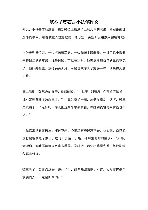 吃不了兜着走小练笔作文