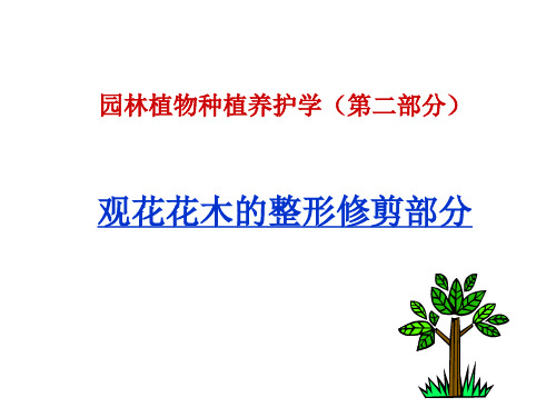 园林植物种植养护学观花花木的整形修剪技术PPT