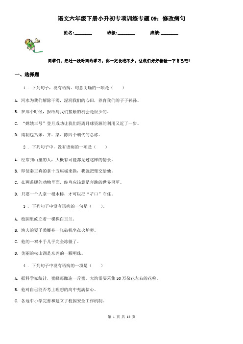 语文六年级下册小升初专项训练专题09：修改病句