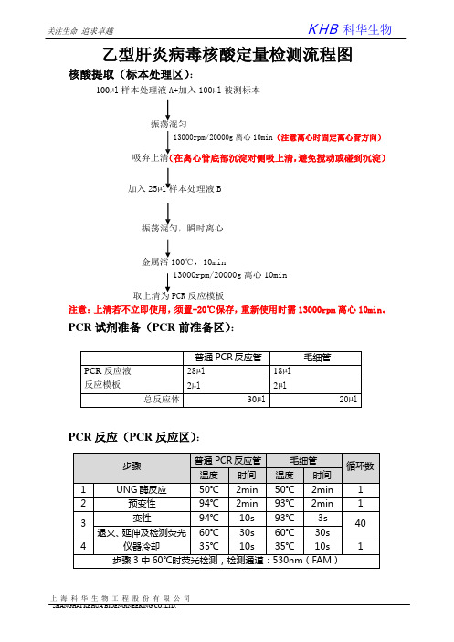 HBV简易操作流程-新批号