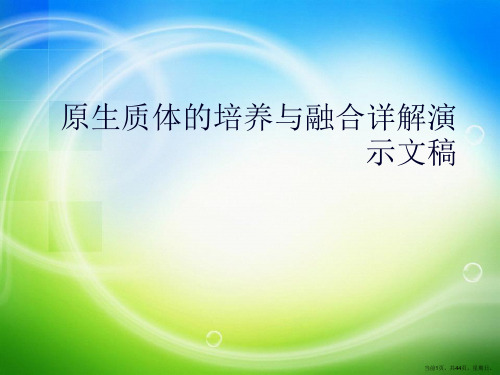 原生质体的培养与融合详解演示文稿