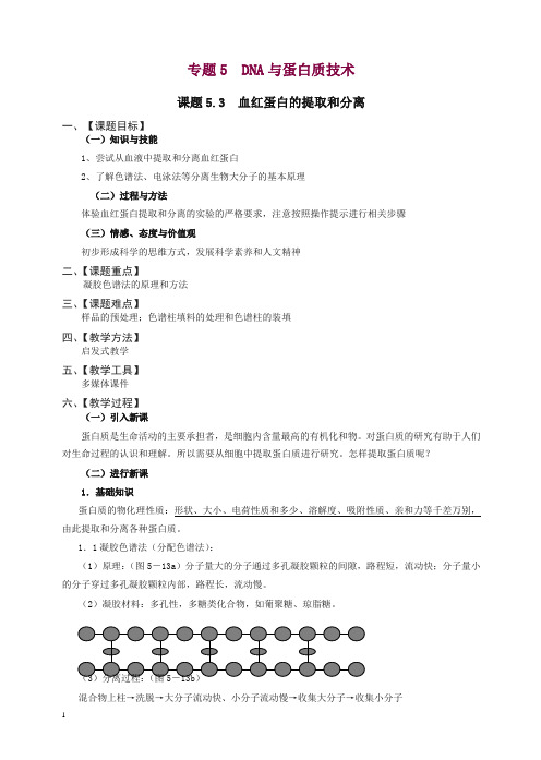 【人教版】高二生物选修一：5.3《血红蛋白的提取和分离》教案设计.doc