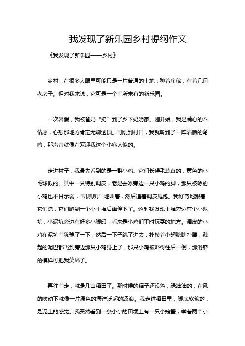 我发现了新乐园乡村提纲作文