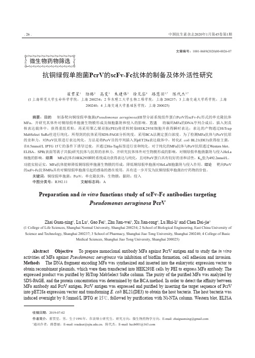 抗铜绿假单胞菌pcrv的scfv-fc抗体的制备及体外活性研究