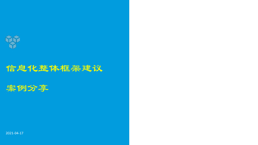 新企业信息化建设总体规划