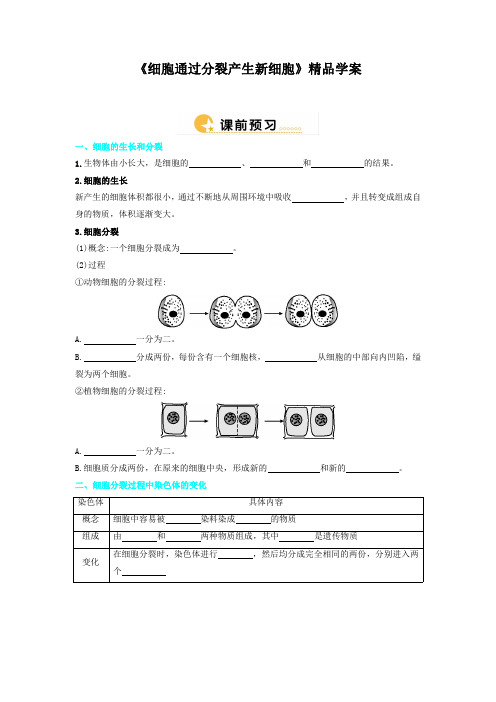 人教版七年级生物上册《细胞通过分裂产生新细胞》精品学案