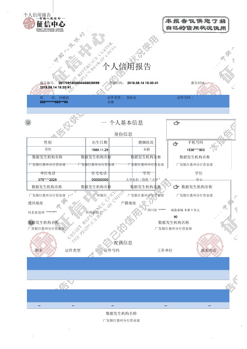 个人征信报告