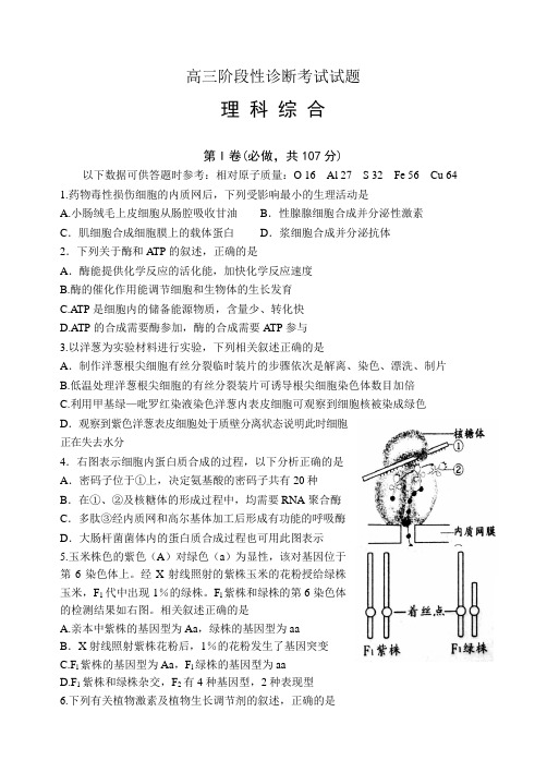 山东省淄博市高三二模理综生物试题