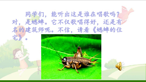 《蟋蟀的住宅》_PPT