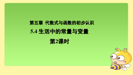 《生活中的常量与变量》(第2课时)示范公开课教学PPT课件【青岛版七年级数学上册】