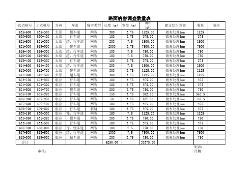 路面病害调查数量表