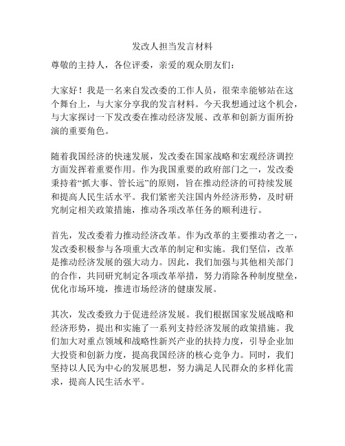 发改人担当发言材料