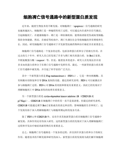 细胞凋亡信号通路中的新型蛋白质发现