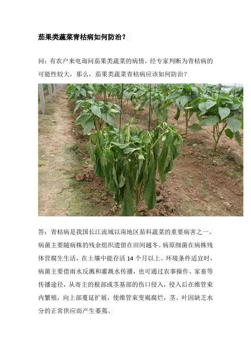 茄果类蔬菜青枯病如何防治